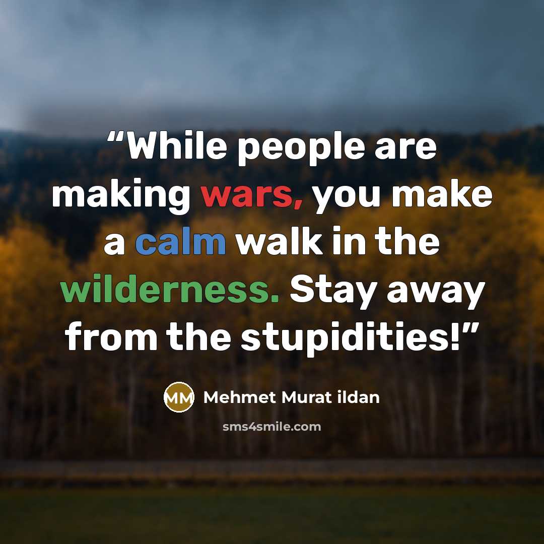 “While people are making wars, you make a calm walk in the wilderness. Stay away from the stupidities!” quote by Mehmet Murat ildan
