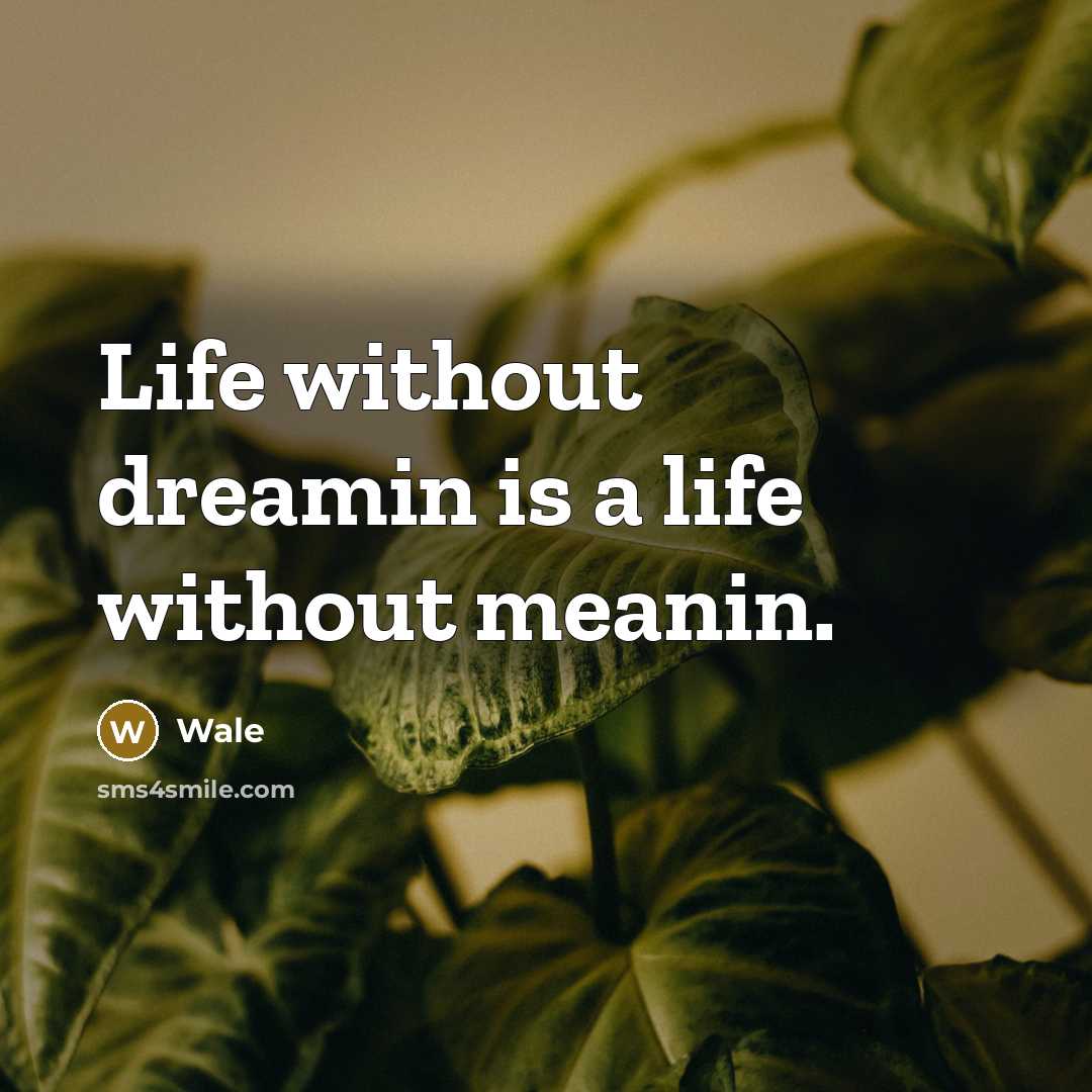 “Life without dreamin is a life without meanin.” quote by Wale