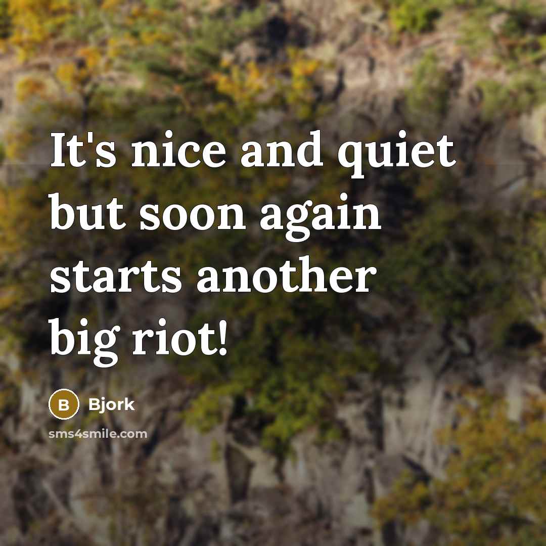 “It's nice and quiet but soon again starts another big riot!” quote by Bjork