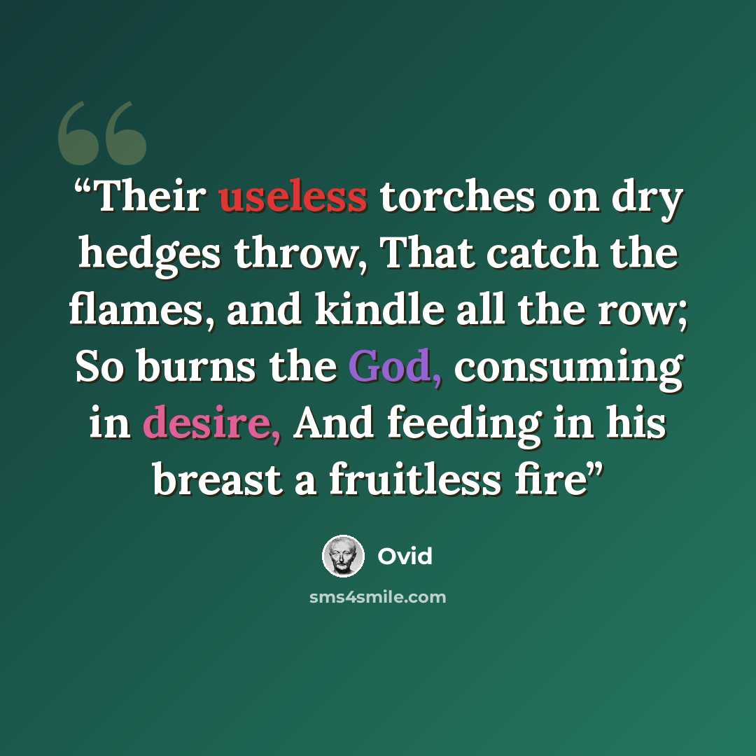 “Their useless torches on dry hedges throw, That catch the flames, and kindle all the row; So burns the God, consuming in desire, And feeding in his breast a fruitless fire” quote by Ovid