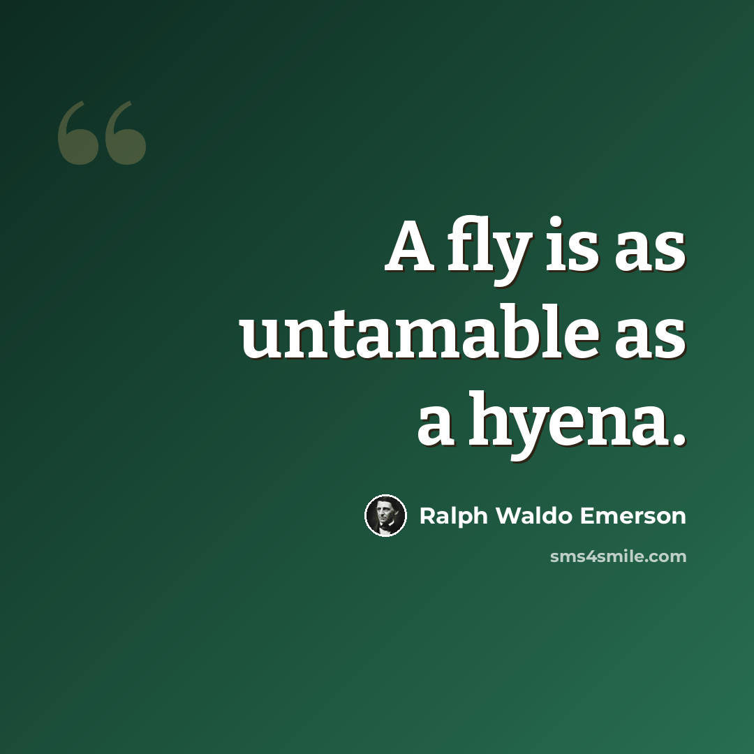 “A fly is as untamable as a hyena.” quote by Ralph Waldo Emerson