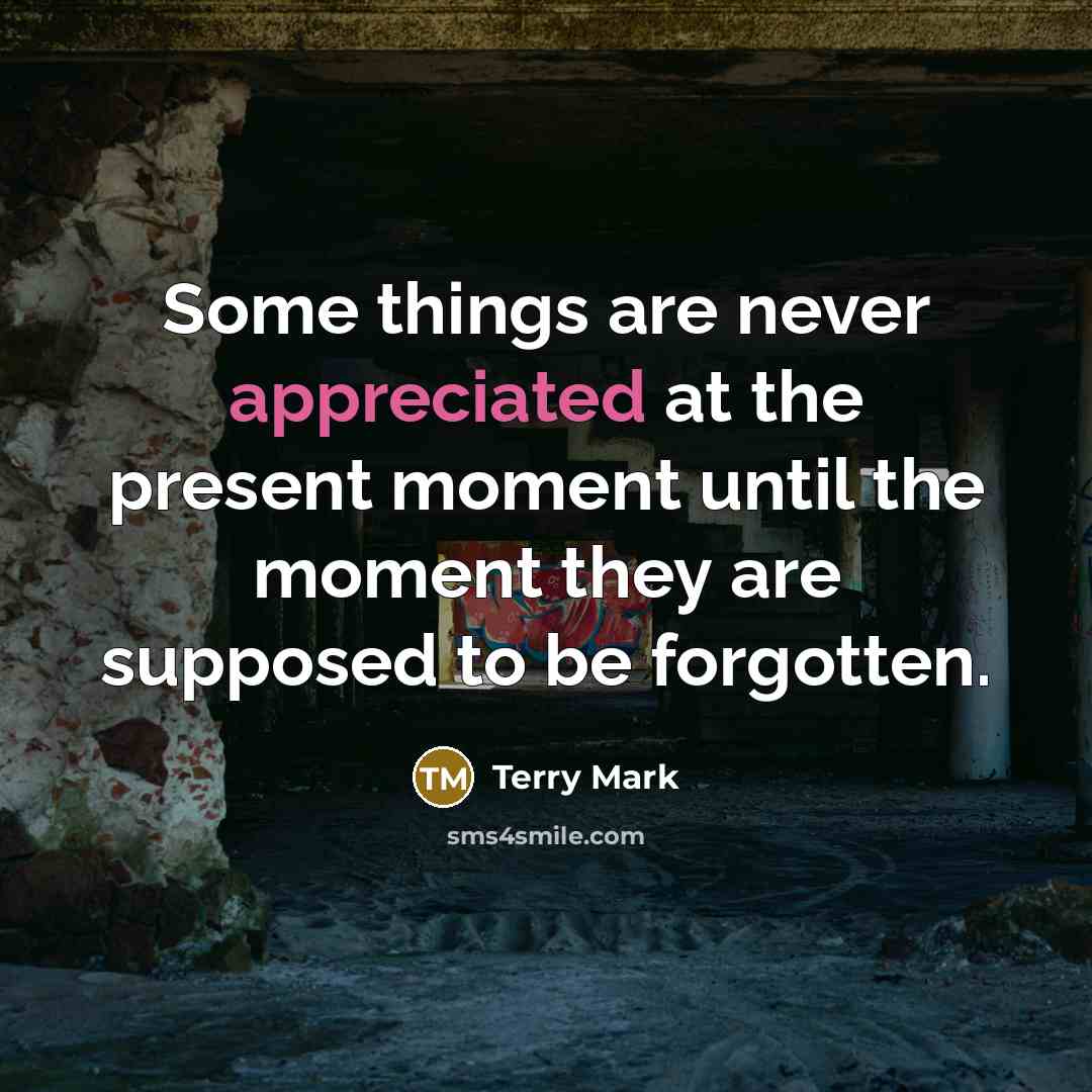 “Some things are never appreciated at the present moment until the moment they are supposed to be forgotten.” quote by Terry Mark