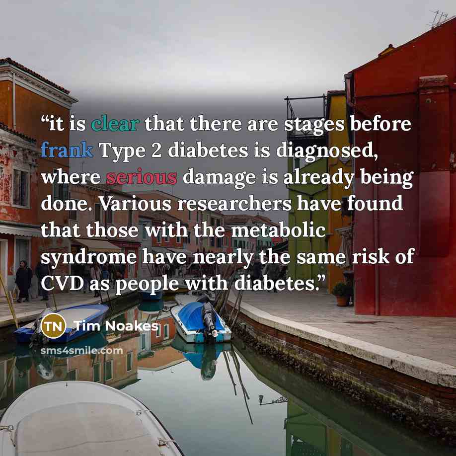 “it is clear that there are stages before frank Type 2 diabetes is diagnosed, where serious damage is already being done. Various researchers have found that those with the metabolic syndrome have nearly the same risk of CVD as people with diabetes.” quote by Tim Noakes