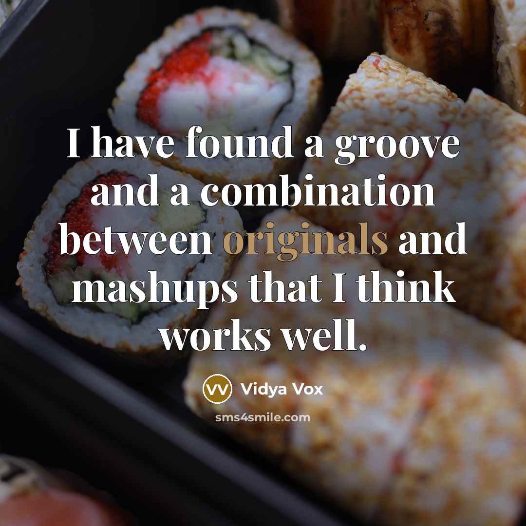 “I have found a groove and a combination between originals and mashups that I think works well.” quote by Vidya Vox