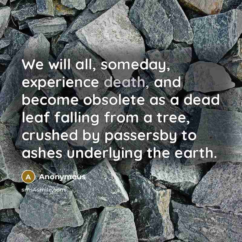 “We will all, someday, experience death, and become obsolete as a dead leaf falling from a tree, crushed by passersby to ashes underlying the earth.” quote by Anonymous