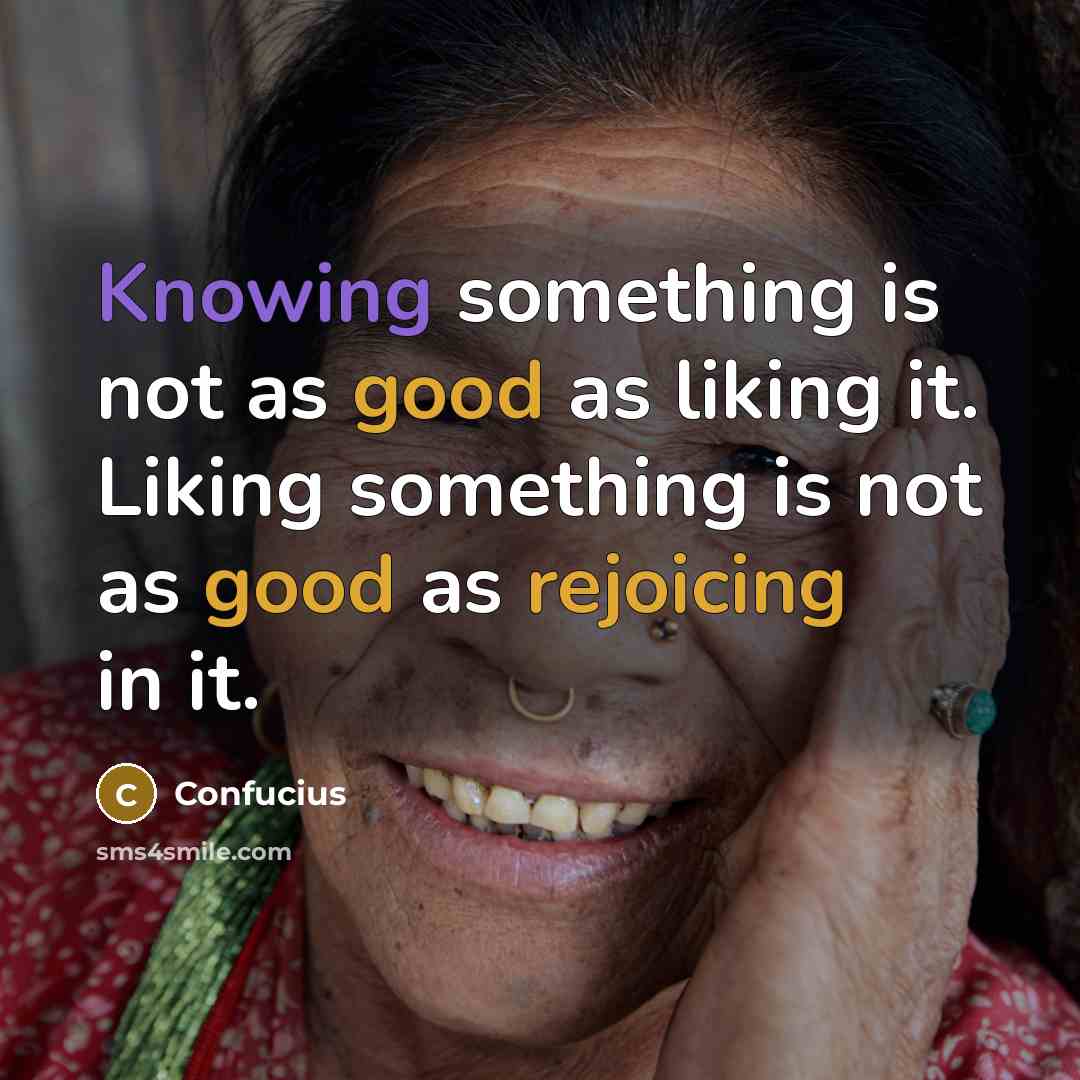 “Knowing something is not as good as liking it. Liking something is not as good as rejoicing in it.” quote by Confucius