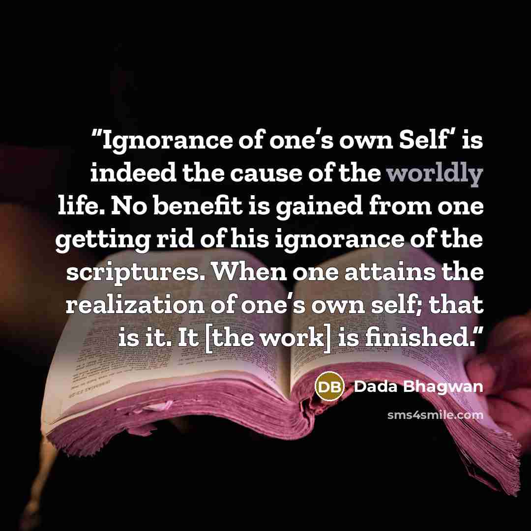“Ignorance of one’s own Self’ is indeed the cause of the worldly life. No benefit is gained from one getting rid of his ignorance of the scriptures. When one attains the realization of one’s own self; that is it. It [the work] is finished.” quote by Dada Bhagwan