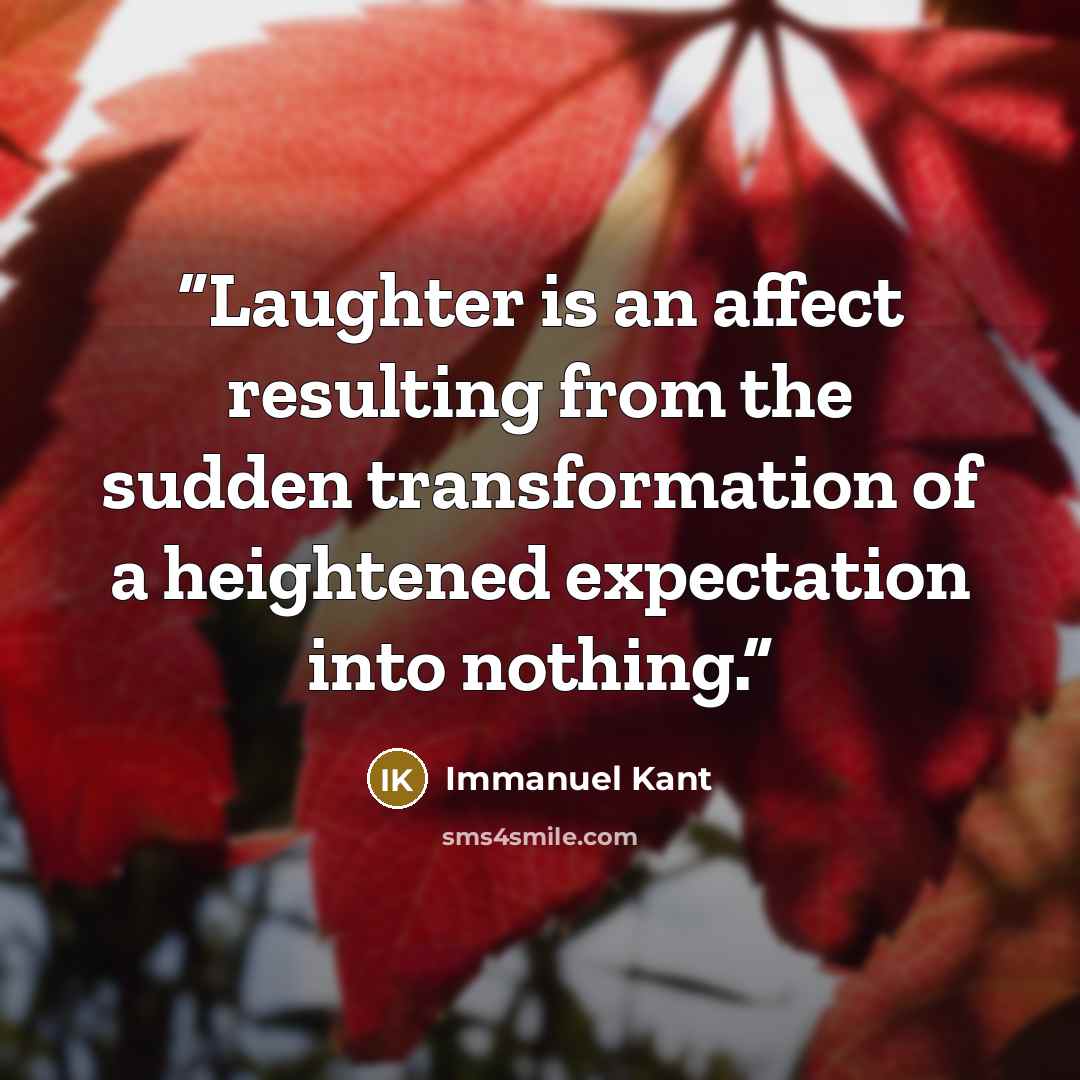 “Laughter is an affect resulting from the sudden transformation of a heightened expectation into nothing.” quote by Immanuel Kant