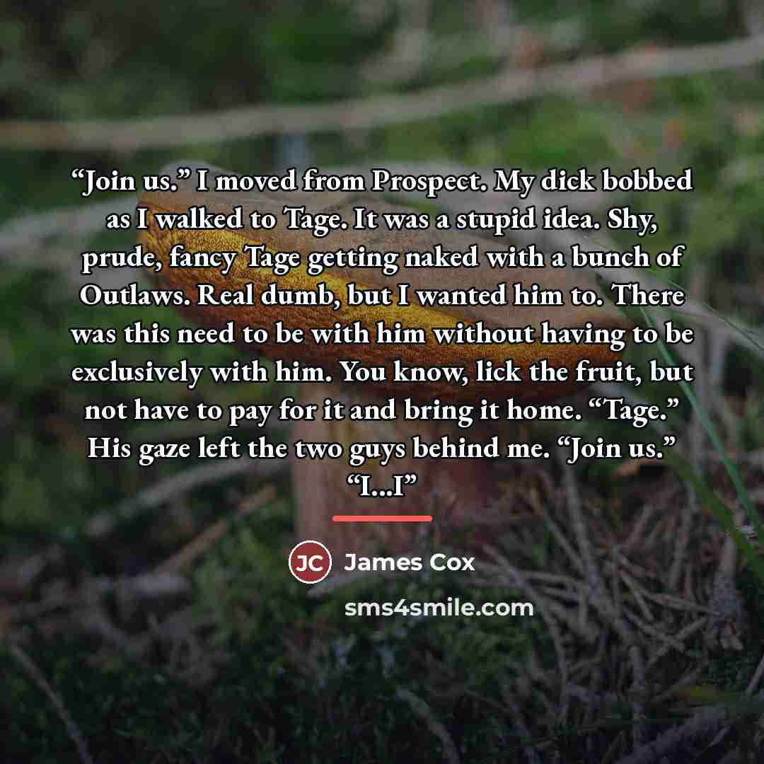 “Join us.” I moved from Prospect. My dick bobbed as I walked to Tage. It was a stupid idea. Shy, prude, fancy Tage getting naked with a bunch of Outlaws. Real dumb, but I wanted him to. There was this need to be with him without having to be exclusively with him. You know, lick the fruit, but not…” quote by James Cox