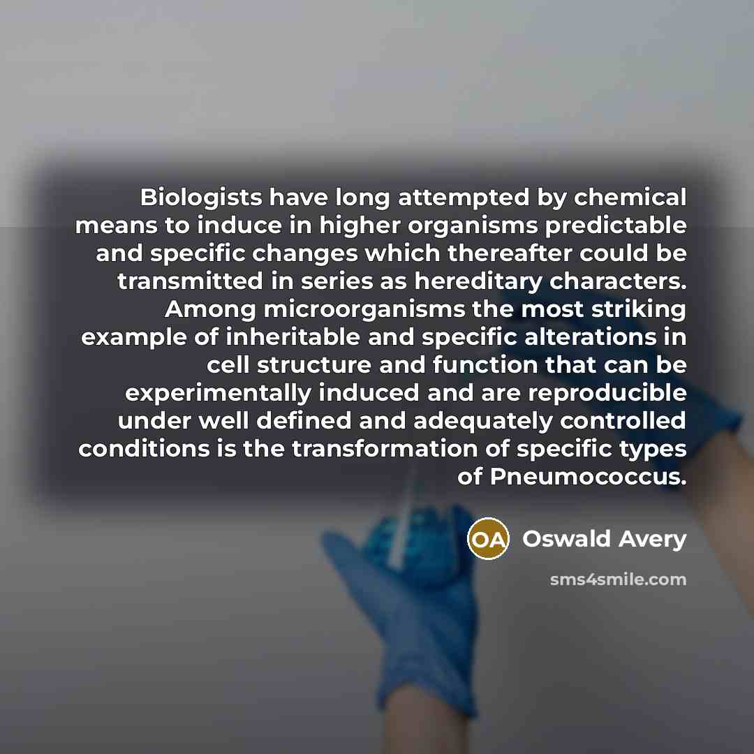 “Biologists have long attempted by chemical means to induce in higher organisms predictable and specific changes which thereafter could be transmitted in series as hereditary characters. Among microorganisms the most striking example of inheritable and specific alterations in cell structure and…” quote by Oswald Avery