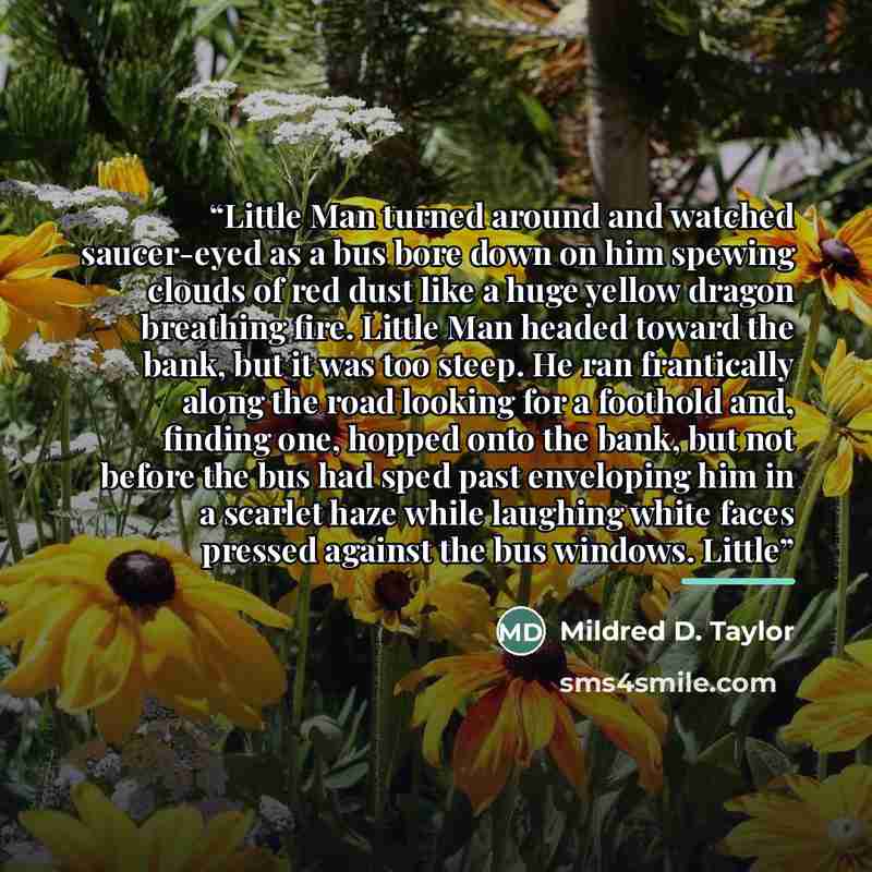 “Little Man turned around and watched saucer-eyed as a bus bore down on him spewing clouds of red dust like a huge yellow dragon breathing fire. Little Man headed toward the bank, but it was too steep. He ran frantically along the road looking for a foothold and, finding one, hopped onto the bank…” quote by Mildred D. Taylor