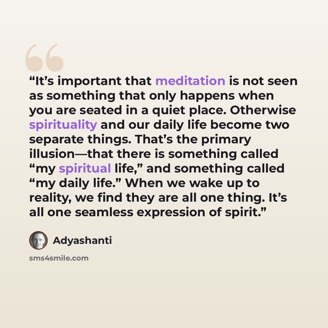 “It’s important that meditation is not seen as something that only happens when you are seated in a quiet place. Otherwise spirituality and our daily life become two separate things. That’s the primary illusion—that there is something called “my spiritual life,” and something called “my daily…” quote by Adyashanti