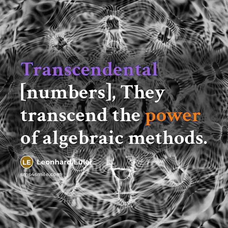 “Transcendental [numbers], They transcend the power of algebraic methods.” quote by Leonhard Euler