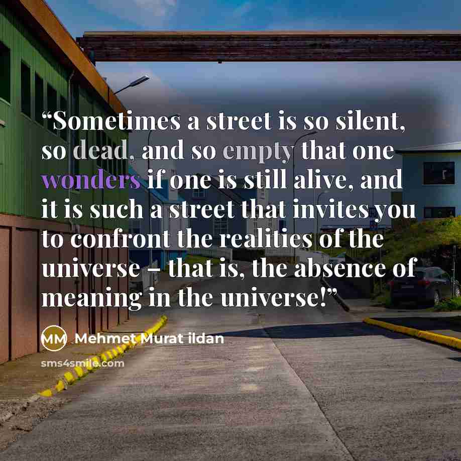 “Sometimes a street is so silent, so dead, and so empty that one wonders if one is still alive, and it is such a street that invites you to confront the realities of the universe – that is, the absence of meaning in the universe!” quote by Mehmet Murat ildan