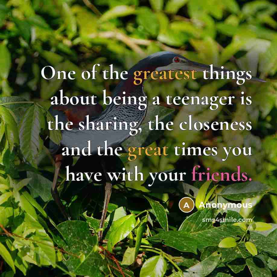 “One of the greatest things about being a teenager is the sharing, the closeness and the great times you have with your friends.” quote by Anonymous