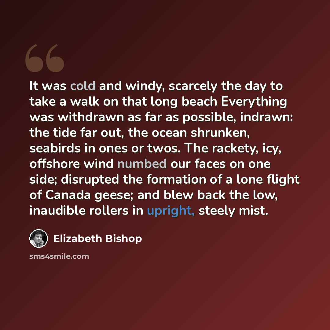 “It was cold and windy, scarcely the day to take a walk on that long beach Everything was withdrawn as far as possible, indrawn: the tide far out, the ocean shrunken, seabirds in ones or twos. The rackety, icy, offshore wind numbed our faces on one side; disrupted the formation of a lone flight of…” quote by Elizabeth Bishop