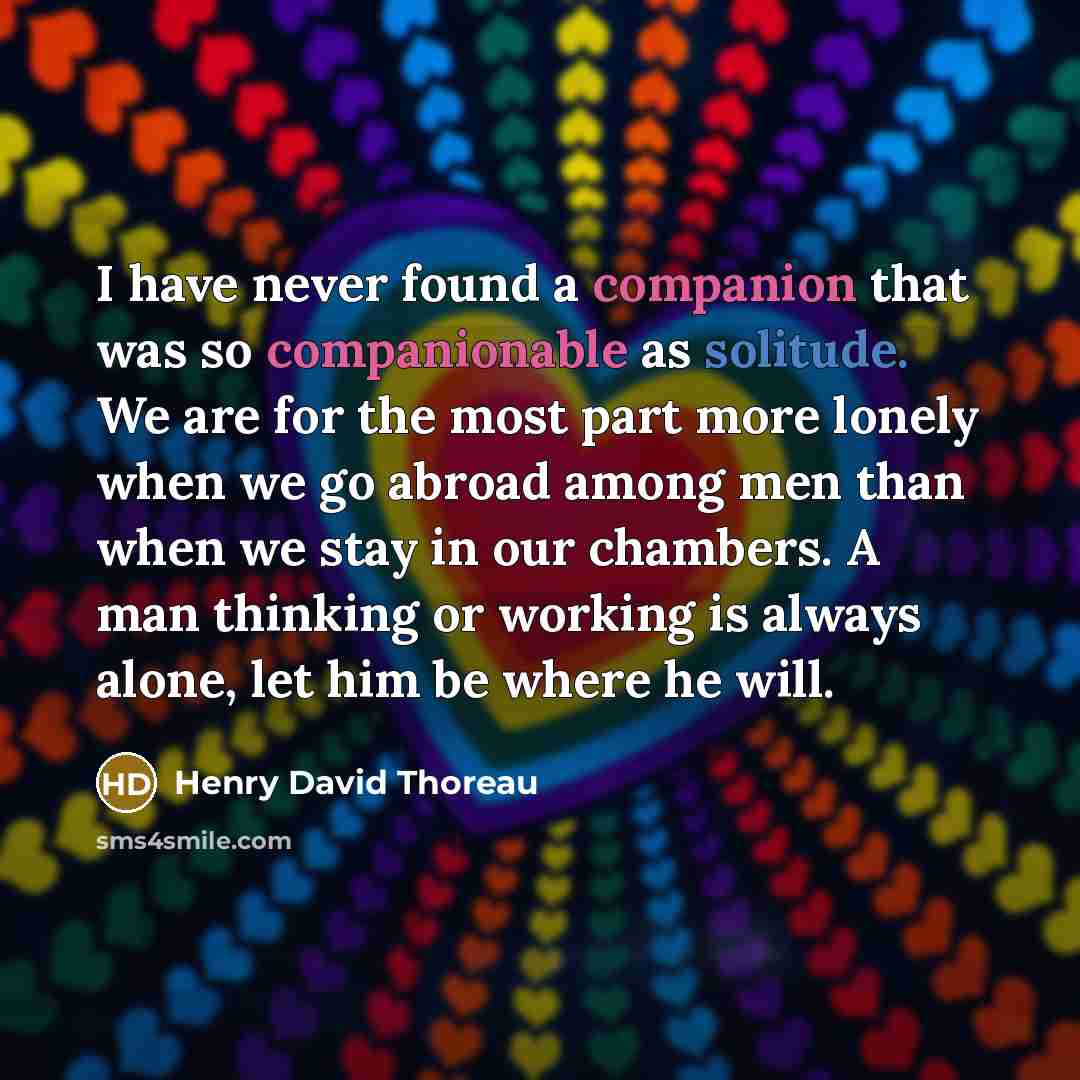 “I have never found a companion that was so companionable as solitude. We are for the most part more lonely when we go abroad among men than when we stay in our chambers. A man thinking or working is always alone, let him be where he will.” quote by Henry David Thoreau