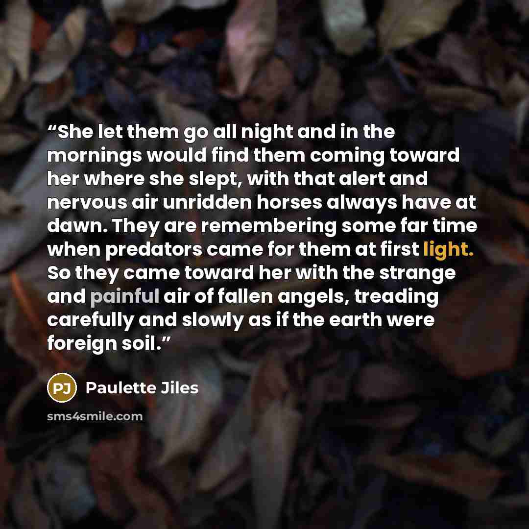 “She let them go all night and in the mornings would find them coming toward her where she slept, with that alert and nervous air unridden horses always have at dawn. They are remembering some far time when predators came for them at first light. So they came toward her with the strange and painful…” quote by Paulette Jiles