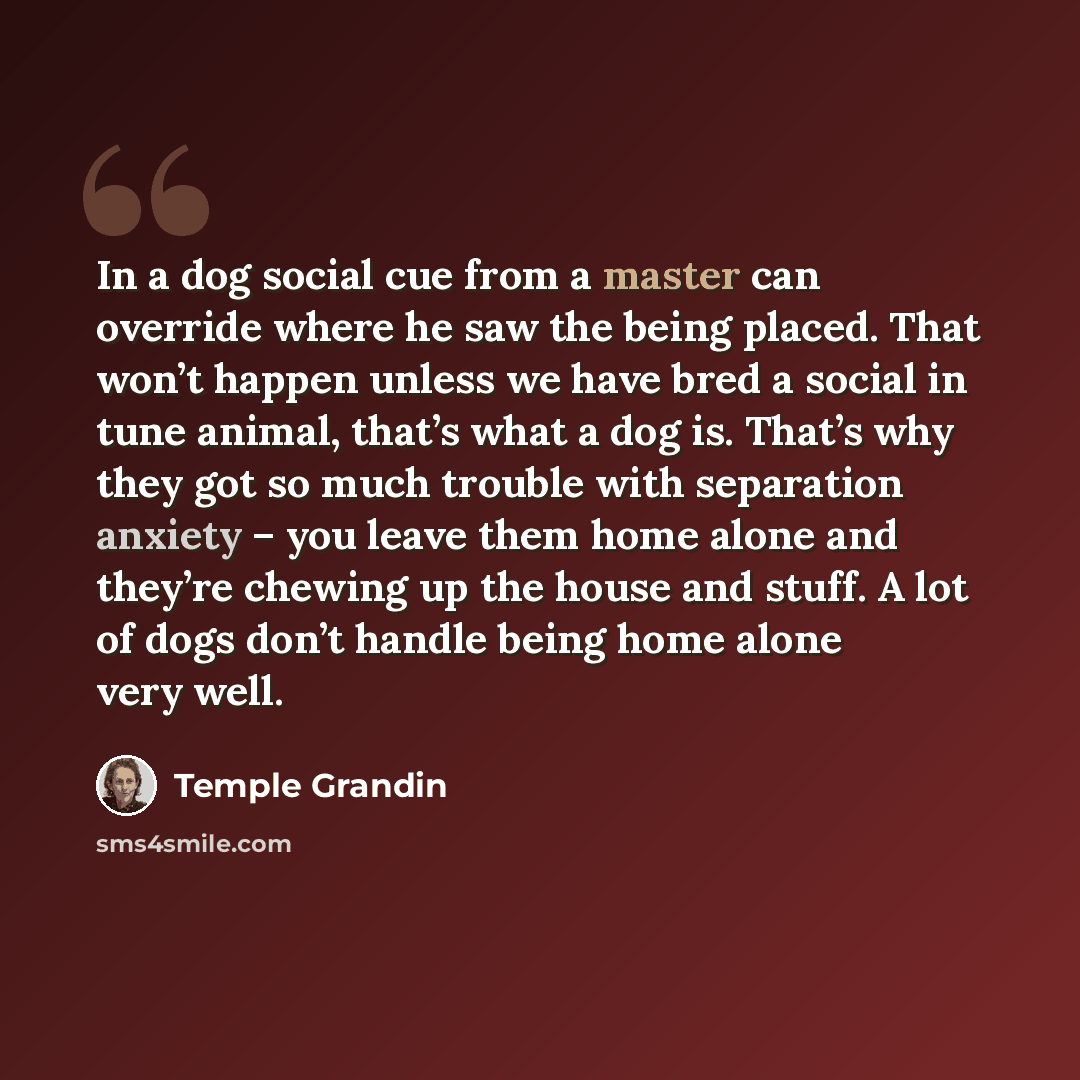 “In a dog social cue from a master can override where he saw the being placed. That won’t happen unless we have bred a social in tune animal, that’s what a dog is. That’s why they got so much trouble with separation anxiety – you leave them home alone and they’re chewing up the house and stuff. A…” quote by Temple Grandin
