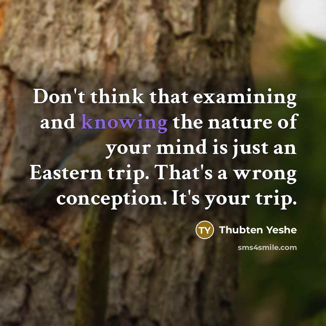 “Don't think that examining and knowing the nature of your mind is just an Eastern trip. That's a wrong conception. It's your trip.” quote by Thubten Yeshe