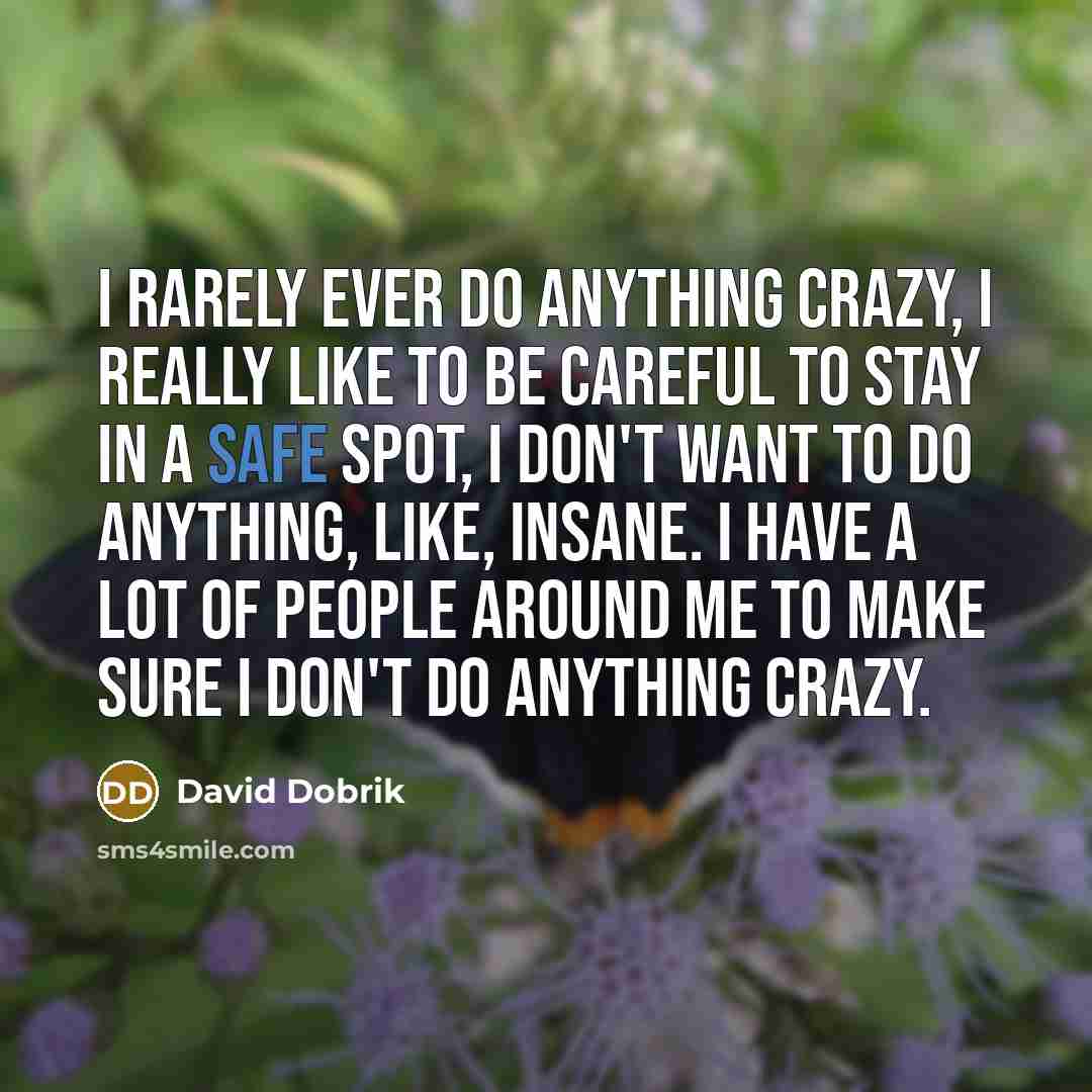 “I rarely ever do anything crazy, I really like to be careful to stay in a safe spot, I don't want to do anything, like, insane. I have a lot of people around me to make sure I don't do anything crazy.” quote by David Dobrik