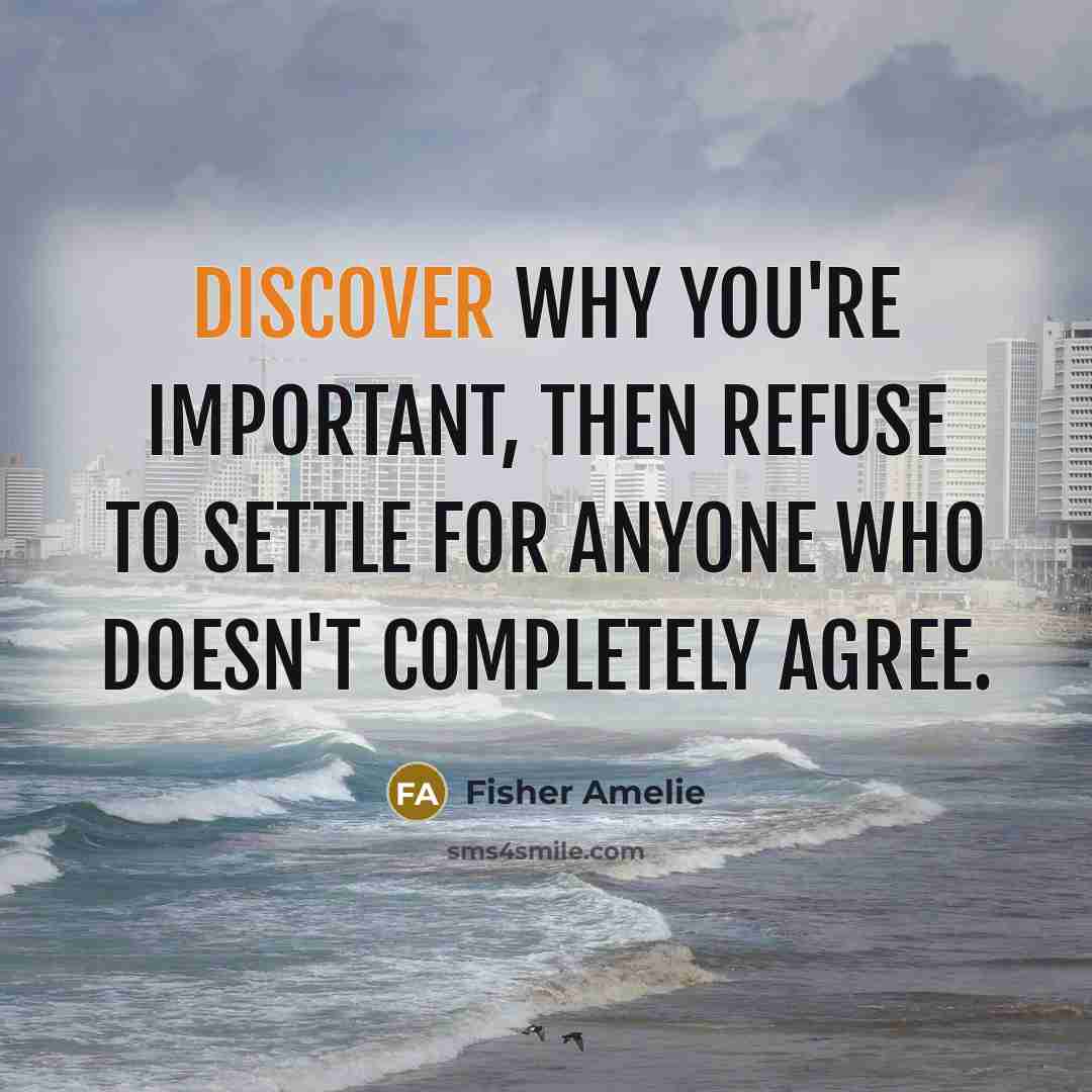 “Discover why you're important, then refuse to settle for anyone who doesn't completely agree.” quote by Fisher Amelie