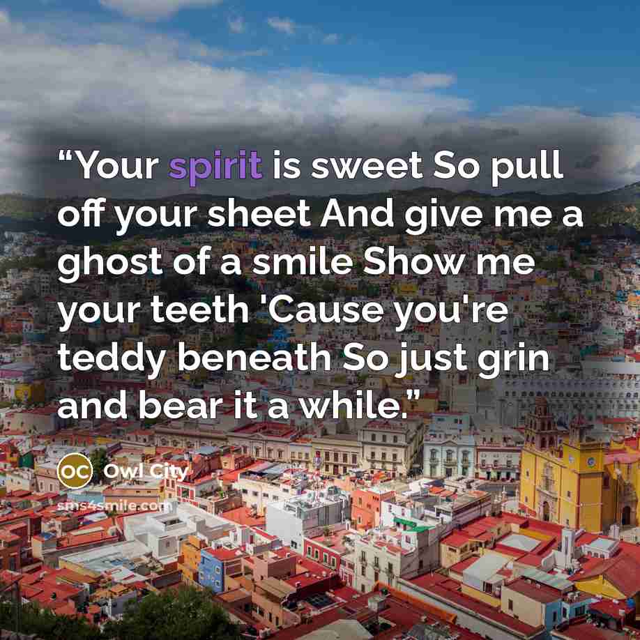 “Your spirit is sweet So pull off your sheet And give me a ghost of a smile Show me your teeth 'Cause you're teddy beneath So just grin and bear it a while.” quote by Owl City