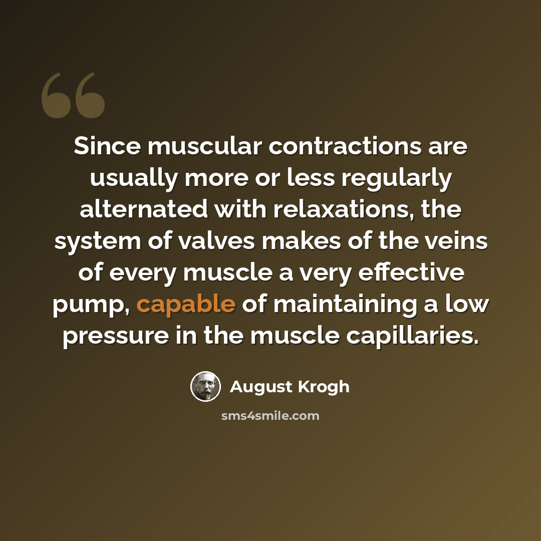 “Since muscular contractions are usually more or less regularly alternated with relaxations, the system of valves makes of the veins of every muscle a very effective pump, capable of maintaining a low pressure in the muscle capillaries.” quote by August Krogh