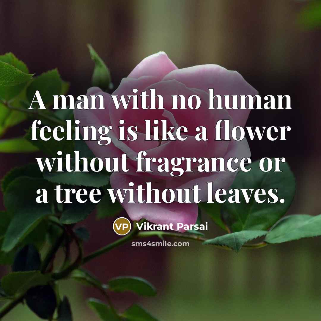 “A man with no human feeling is like a flower without fragrance or a tree without leaves.” quote by Vikrant Parsai