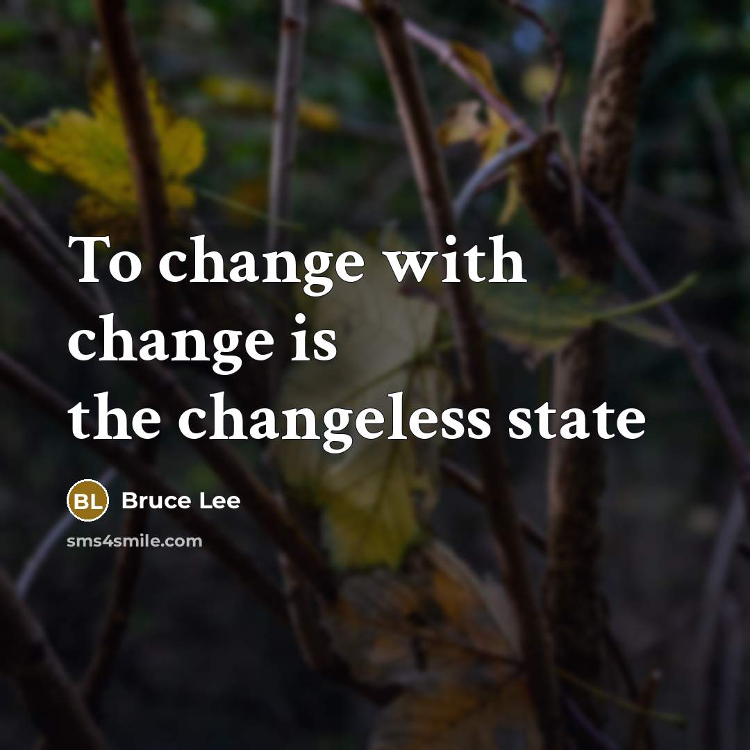 “To change with change is the changeless state” quote by Bruce Lee