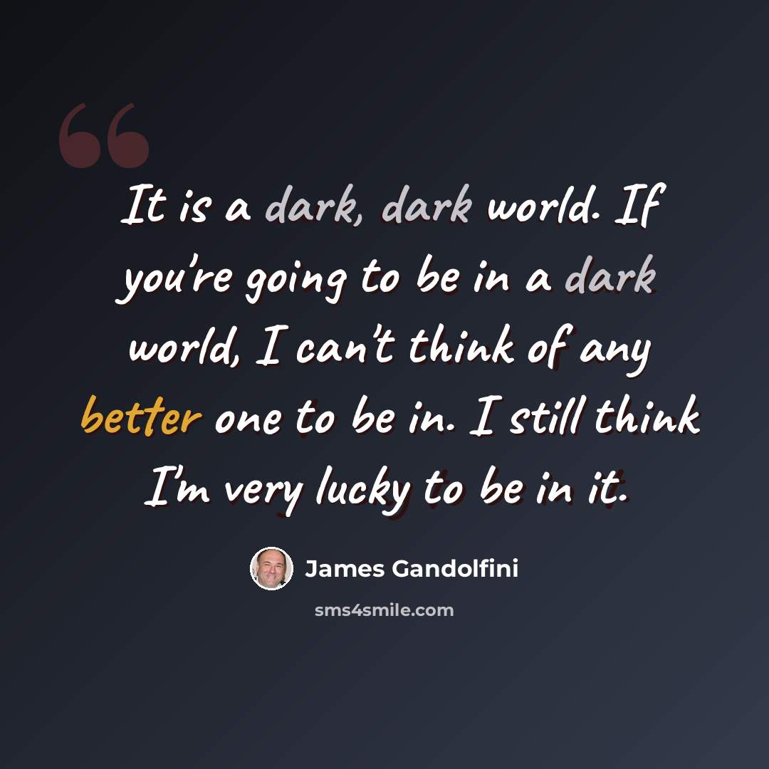 “It is a dark, dark world. If you're going to be in a dark world, I can't think of any better one to be in. I still think I'm very lucky to be in it.” quote by James Gandolfini