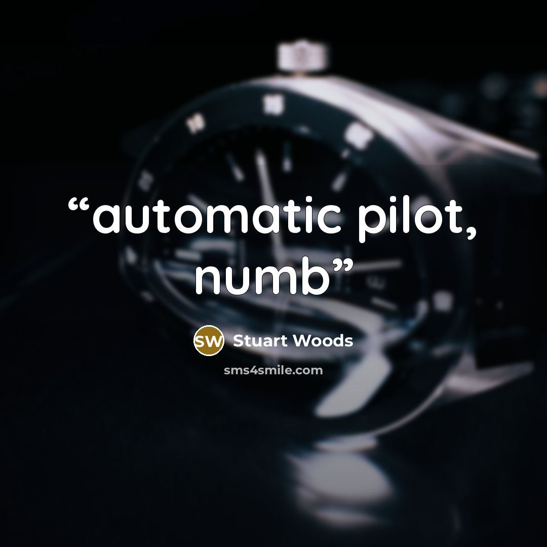“automatic pilot, numb” quote by Stuart Woods