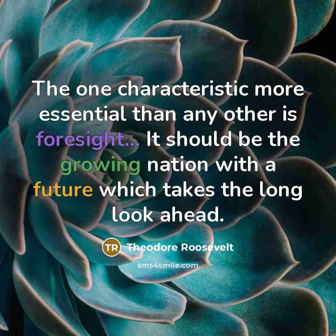 “The one characteristic more essential than any other is foresight... It should be the growing nation with a future which takes the long look ahead.” quote by Theodore Roosevelt