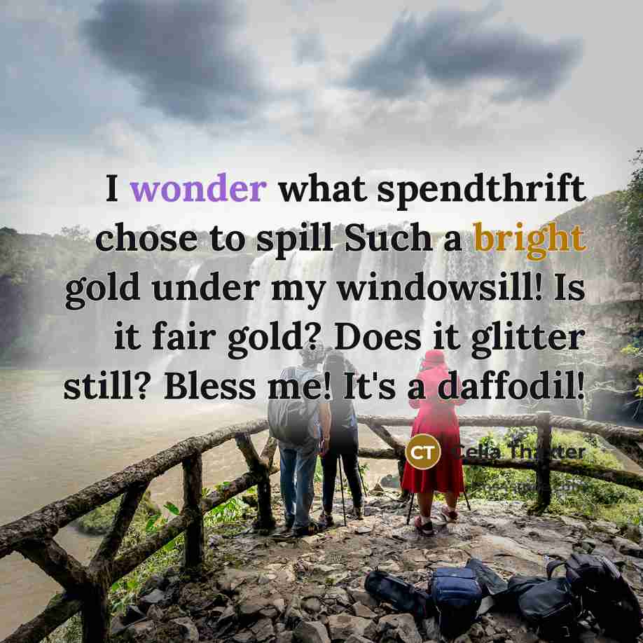 “I wonder what spendthrift chose to spill Such a bright gold under my windowsill! Is it fair gold? Does it glitter still? Bless me! It's a daffodil!” quote by Celia Thaxter