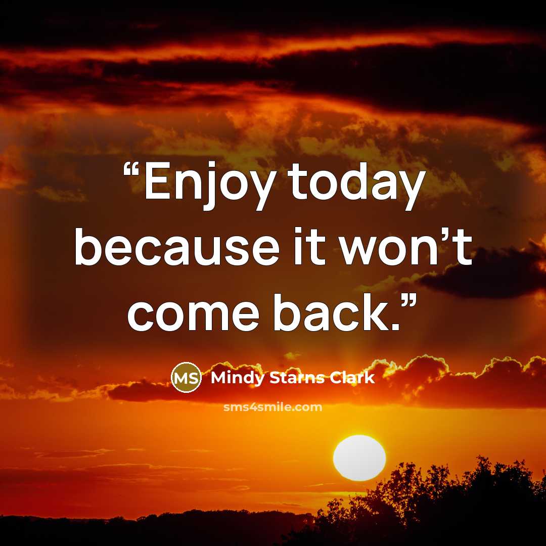 “Enjoy today because it won't come back.” quote by Mindy Starns Clark