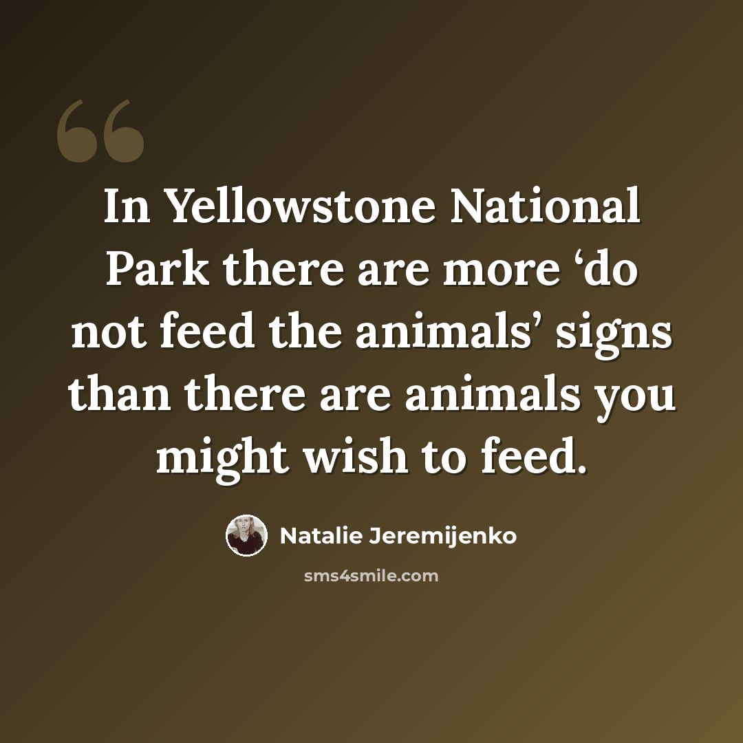 “In Yellowstone National Park there are more ‘do not feed the animals’ signs than there are animals you might wish to feed.” quote by Natalie Jeremijenko
