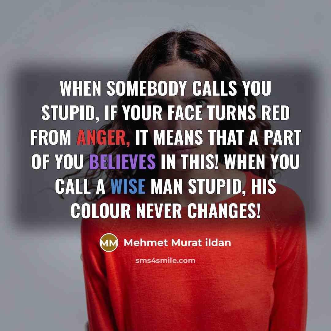 “When somebody calls you stupid, if your face turns red from anger, it means that a part of you believes in this! When you call a wise man stupid, his colour never changes!” quote by Mehmet Murat Ildan