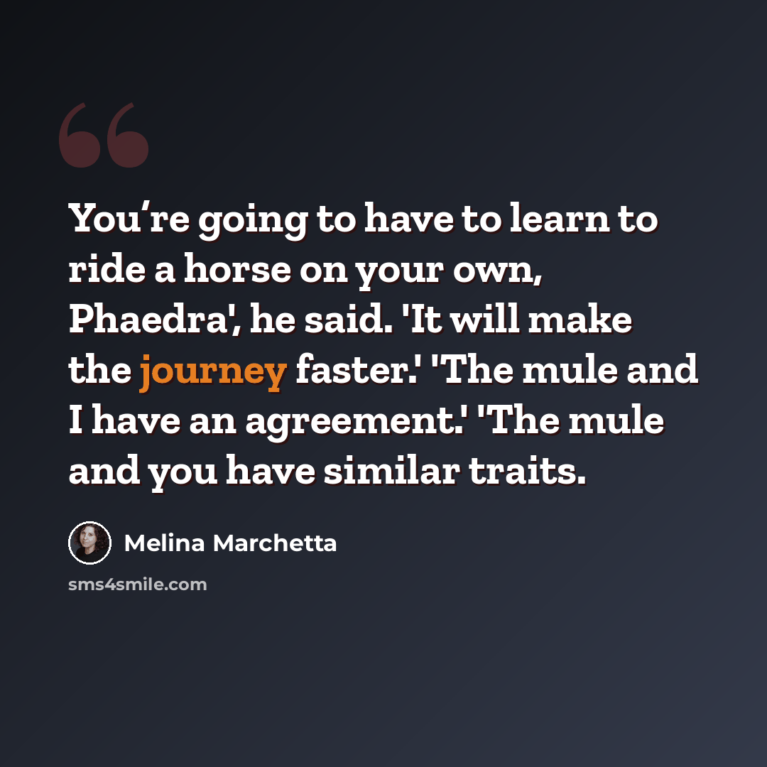 “You’re going to have to learn to ride a horse on your own, Phaedra', he said. 'It will make the journey faster.' 'The mule and I have an agreement.' 'The mule and you have similar traits.” quote by Melina Marchetta