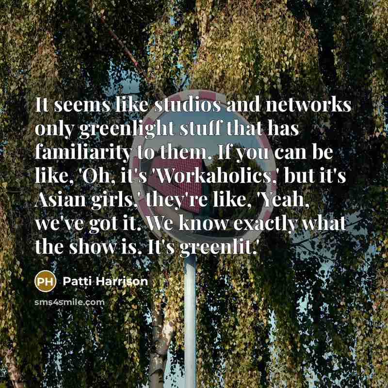 “It seems like studios and networks only greenlight stuff that has familiarity to them. If you can be like, 'Oh, it's 'Workaholics,' but it's Asian girls,' they're like, 'Yeah, we've got it. We know exactly what the show is. It's greenlit.'” quote by Patti Harrison
