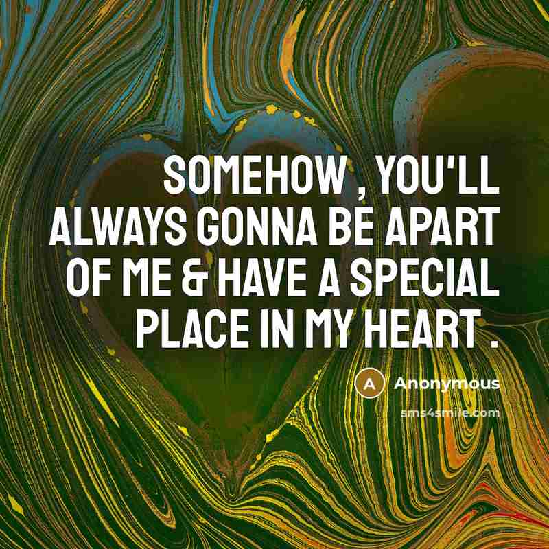 “Somehow , you'll always gonna be apart of me & have a special place in my heart .” quote by Anonymous