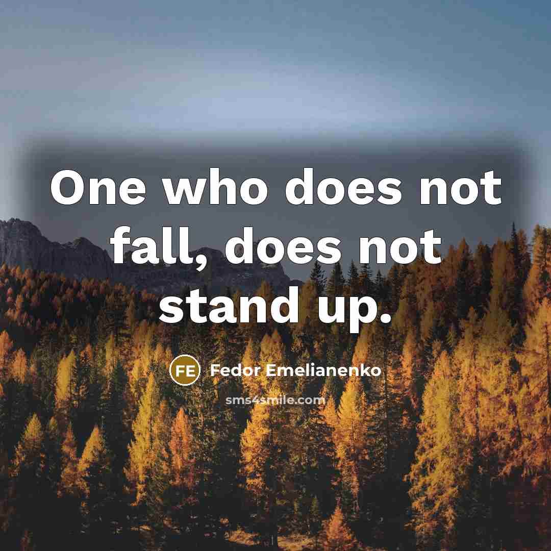 “One who does not fall, does not stand up.” quote by Fedor Emelianenko