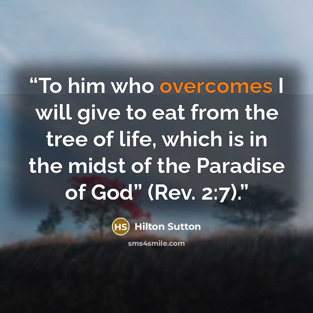 “To him who overcomes I will give to eat from the tree of life, which is in the midst of the Paradise of God” (Rev. 2:7).” quote by Hilton Sutton