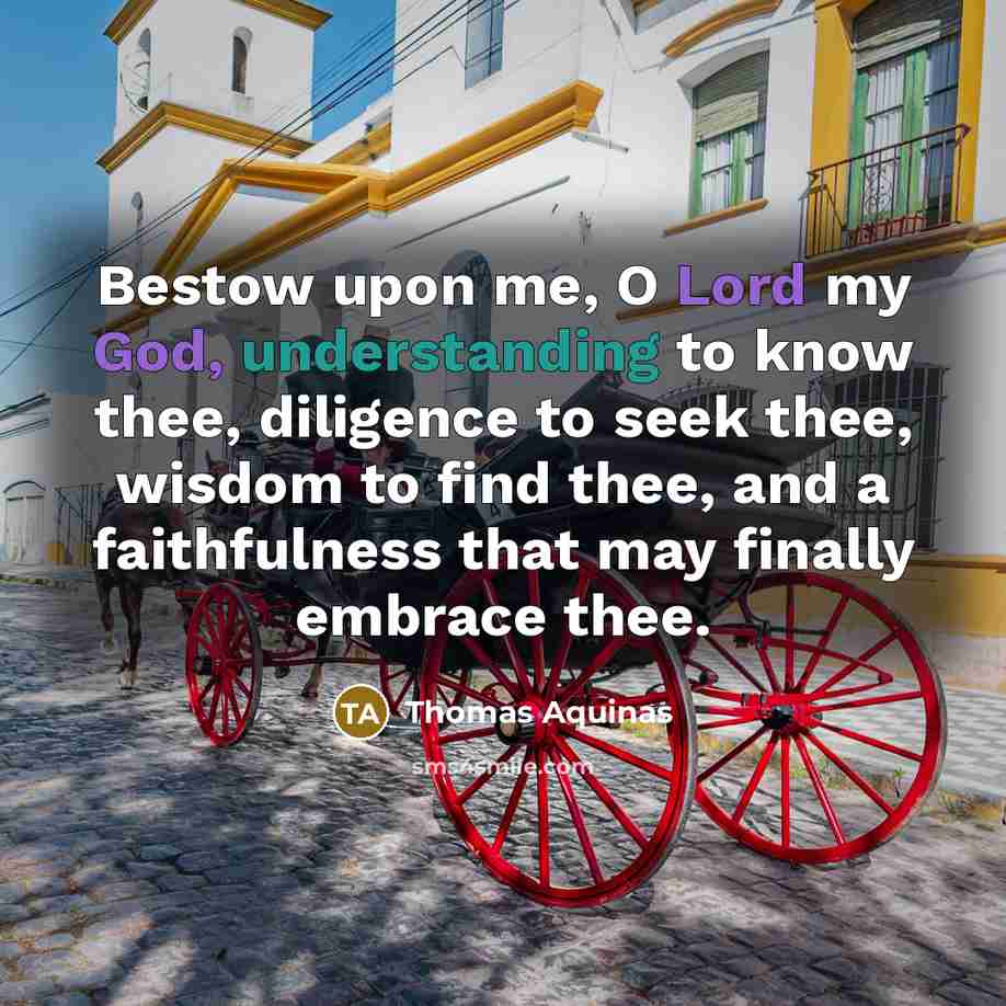 “Bestow upon me, O Lord my God, understanding to know thee, diligence to seek thee, wisdom to find thee, and a faithfulness that may finally embrace thee.” quote by Thomas Aquinas