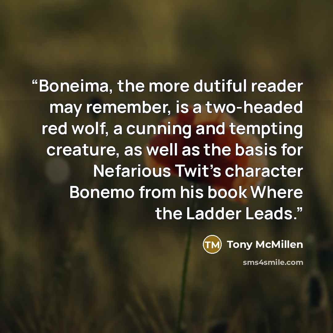 “Boneima, the more dutiful reader may remember, is a two-headed red wolf, a cunning and tempting creature, as well as the basis for Nefarious Twit’s character Bonemo from his book Where the Ladder Leads.” quote by Tony McMillen
