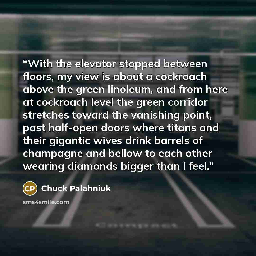 “With the elevator stopped between floors, my view is about a cockroach above the green linoleum, and from here at cockroach level the green corridor stretches toward the vanishing point, past half-open doors where titans and their gigantic wives drink barrels of champagne and bellow to each other…” quote by Chuck Palahniuk