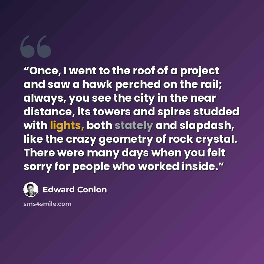“Once, I went to the roof of a project and saw a hawk perched on the rail; always, you see the city in the near distance, its towers and spires studded with lights, both stately and slapdash, like the crazy geometry of rock crystal. There were many days when you felt sorry for people who worked…” quote by Edward Conlon