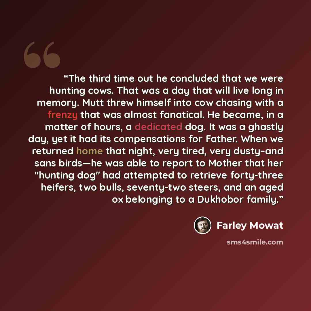 “The third time out he concluded that we were hunting cows. That was a day that will live long in memory. Mutt threw himself into cow chasing with a frenzy that was almost fanatical. He became, in a matter of hours, a dedicated dog. It was a ghastly day, yet it had its compensations for Father…” quote by Farley Mowat