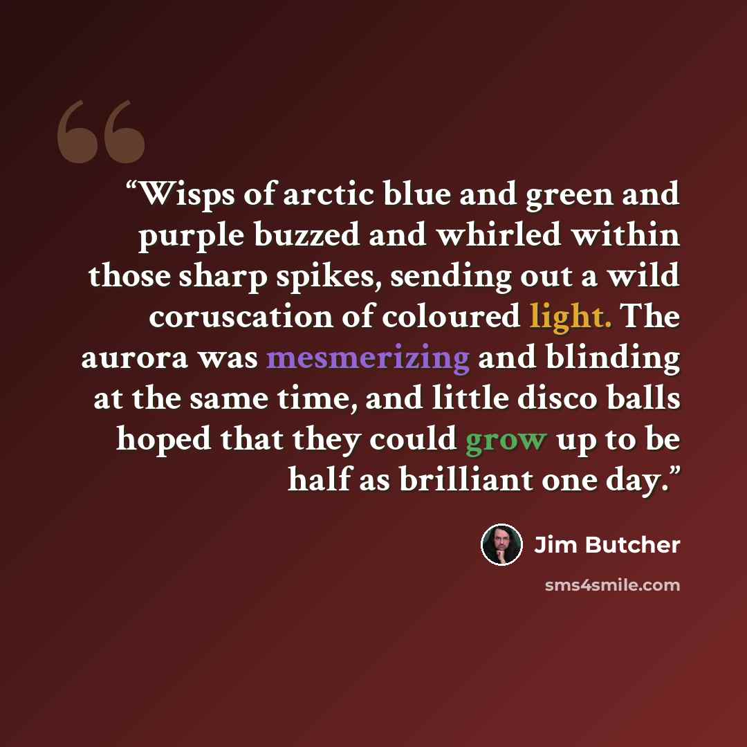 “Wisps of arctic blue and green and purple buzzed and whirled within those sharp spikes, sending out a wild coruscation of coloured light. The aurora was mesmerizing and blinding at the same time, and little disco balls hoped that they could grow up to be half as brilliant one day.” quote by jim butcher