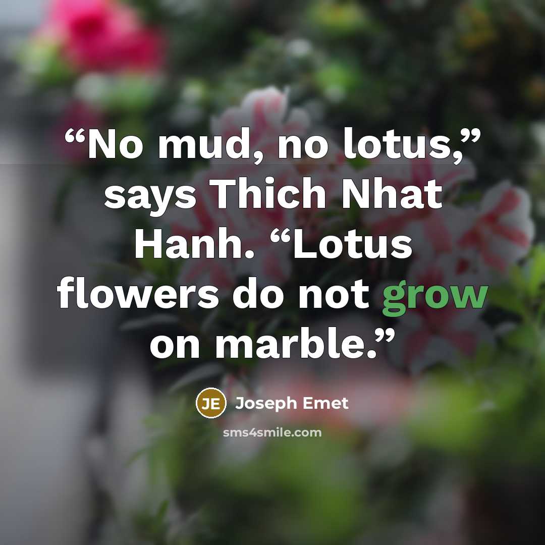 “No mud, no lotus,” says Thich Nhat Hanh. “Lotus flowers do not grow on marble.” quote by Joseph Emet