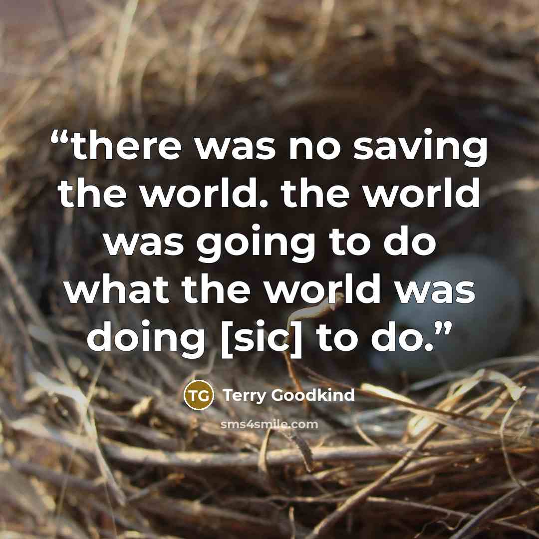 “there was no saving the world. the world was going to do what the world was doing [sic] to do.” quote by Terry Goodkind
